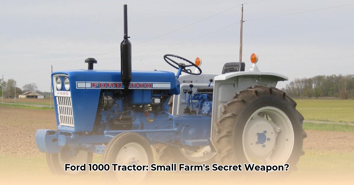 tractor-ford-1000
